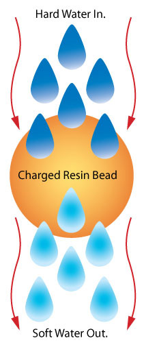 Ion Exchange